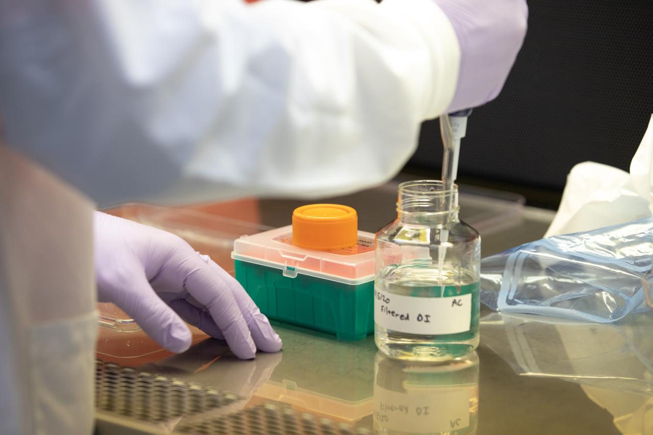 Inside the Space Station Processing Facility at NASA’s Kennedy Space Center in Florida, a research scientist is preparing to glue red romaine lettuce seeds to a sheet of seed film – a new seed handling material – on Jan. 15, 2020. The seed film is being prepared for the VEG-03 J experiment that will fly to the International Space Station on Northrop Grumman’s 13th resupply services (NG-13) mission. This seed film experiment involves crew aboard the orbiting laboratory planting the seeds into plant pillows – a common method used to grow plants in space – themselves for the first time ever. The water-soluble, dissolving film addresses the challenge of handling seeds in a microgravity environment and also can be used to deliver fertilizers and other beneficial substances that help plants grow. NG-13 is scheduled to launch from the agency’s Wallops Flight Facility in Virginia on Feb. 9, 2020, at 5:39 p.m. EST. 