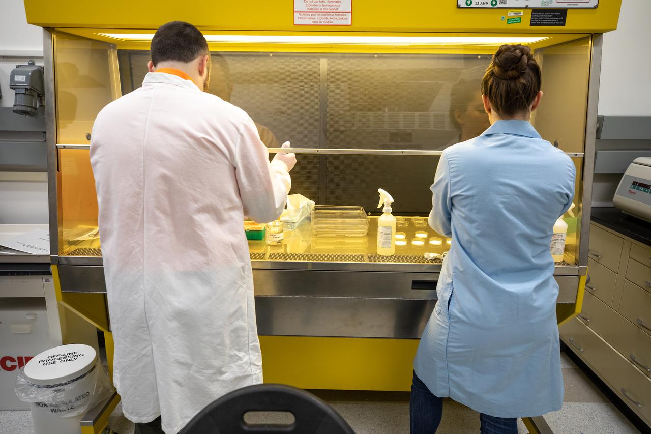 Aaron Curry, left, a research scientist with the Laboratory Support Services and Operations (LASSO) contract, and Jess Bunchek, a pseudonaut and associate scientist at NASA’s Kennedy Space Center in Florida, are preparing a new seed handling material for testing inside the Space Station Processing Facility on Jan. 15, 2020. The new material, called seed film, and similar in appearance to a breath freshener strip, is a water-soluble, dissolving film that addresses the challenge of handling seeds in a microgravity environment. The seed film experiment, titled VEG-03 J, involves sending seed film containing red romaine lettuce seeds to the International Space Station and monitoring the plant’s growth in space. As part of the experiment, crew onboard the orbiting laboratory will plant the seeds into plant pillows – a common method used to grow plants in the space station – themselves for the first time ever. VEG-03 J will launch aboard a Northrop Grumman Antares rocket and Cygnus spacecraft on the company’s 13th resupply services mission. Liftoff is scheduled for Feb. 9, 2020, at 5:39 p.m. EST from the agency’s Wallops Flight Facility in Virginia. 