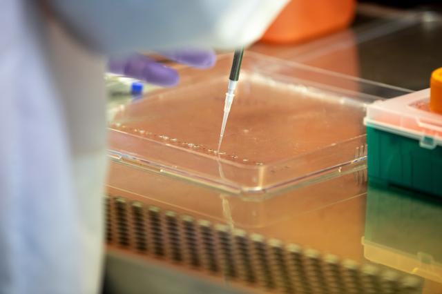 NASA image: Veg-03 J/K/L Prelaunch Prepartions for NG-13