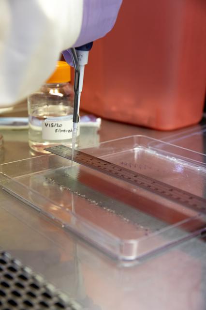 NASA image: Veg-03 J/K/L Prelaunch Prepartions for NG-13