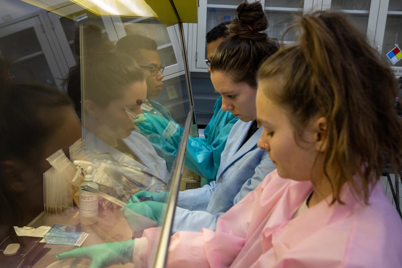 Pseudonaut and Associate Scientist Jess Bunchek, center, and two interns at NASA’s Kennedy Space Center in Florida, assemble plant pillows inside the Space Station Processing Facility on Jan. 16, 2020. The pillows, which are a common method used to grow plants in space, are being sent to the International Space Station for a series of VEG-03 experiments that will study the growth of three types of leafy greens in a microgravity environment and test a new way of handling seeds. The experiments will be launched to the orbiting laboratory aboard a Northrop Grumman Antares rocket and Cygnus spacecraft on the company’s 13th resupply services mission. Liftoff is scheduled for Feb. 9, 2020, at 5:39 p.m. EST from the agency’s Wallops Flight Facility in Virginia. 