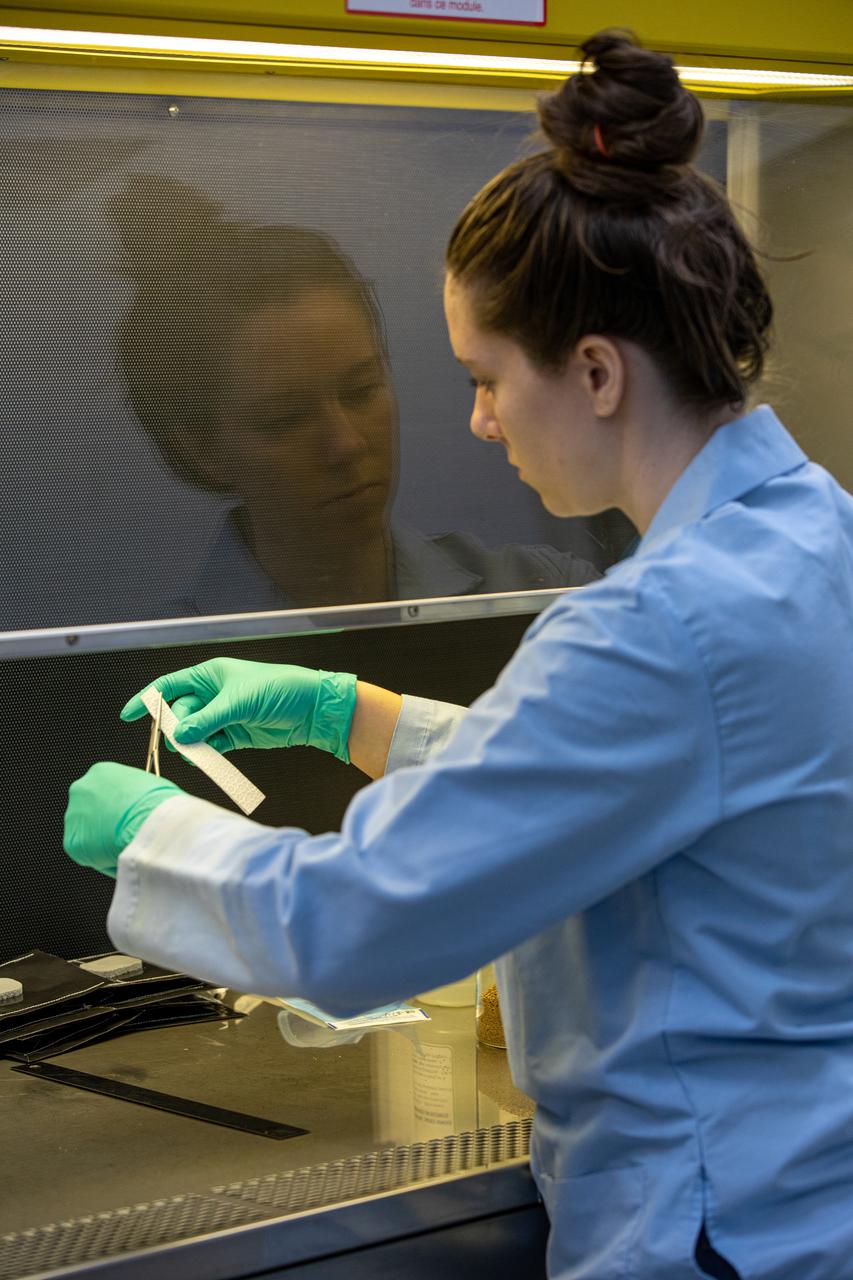 Jess Bunchek, a pseudonaut and associate scientist at NASA’s Kennedy Space Center in Florida, cuts strips of seed wick that will be placed in plant pillows inside the Space Station Processing Facility on Jan. 16, 2020. The pillows, which are a common method used to grow plants in space, are being sent to the International Space Station for a series of VEG-03 experiments that will study the growth of three types of leafy greens and a new seed handling material in a microgravity environment. The experiments will be launched to the orbiting laboratory aboard a Northrop Grumman Antares rocket and Cygnus spacecraft on the company’s 13th resupply services mission. Liftoff is scheduled for Feb. 9, 2020, at 5:39 p.m. EST from the agency’s Wallops Flight Facility in Virginia. 