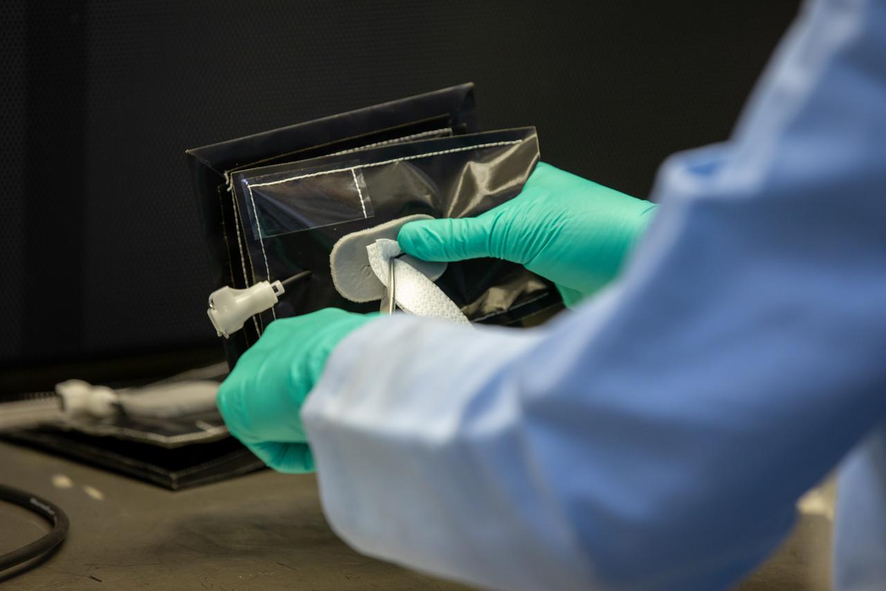 Jess Bunchek, a pseudonaut and associate scientist at NASA’s Kennedy Space Center, measures the seed wick emerging from a plant pillow in the Florida spaceport’s Space Station Processing Facility on Jan. 16, 2019. Researchers will then glue seeds for two crops onto the wicks. A common method used to grow plants in space, the pillows are being sent to the International Space Station for a series of VEG-03 experiments that will study the growth of three types of leafy greens in a microgravity environment and a new seed handling material. The experiments will be launched to the orbiting laboratory aboard a Northrop Grumman Antares rocket and Cygnus spacecraft on the company’s 13th resupply services mission. Liftoff is scheduled for Feb. 9, 2020, at 5:39 p.m. EST from the agency’s Wallops Flight Facility in Virginia. 