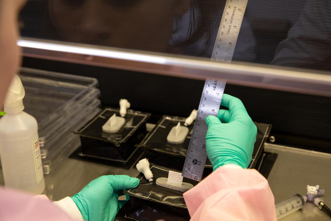 An intern at NASA’s Kennedy Space Center in Florida measures the seed wick – which plant seeds will be glued into later – emerging from a plant pillow in the Space Station Processing Facility on Jan. 16, 2019. A common method used to grow plants in space, the pillows are being sent to the International Space Station for a series of VEG-03 experiments that will study the growth of three types of leafy greens in a microgravity environment. The experiments will be launched to the orbiting laboratory aboard a Northrop Grumman Antares rocket and Cygnus spacecraft on the company’s 13th resupply services mission. Liftoff is scheduled for Feb. 9, 2020, at 5:39 p.m. EST from the agency’s Wallops Flight Facility in Virginia. 