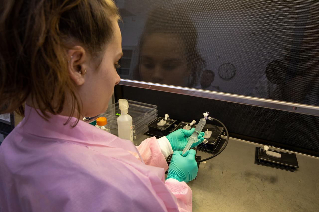 Emily Kennebeck, an intern at NASA’s Kennedy Space Center in Florida, assembles plant pillows inside the Space Station Processing Facility on Jan. 16, 2020. The pillows, which are a common method used to grow plants in space, are being sent to the International Space Station for a series of VEG-03 experiments that will study the growth of three types of leafy greens and a new seed handling material in a microgravity environment. The experiments will be launched to the orbiting laboratory aboard a Northrop Grumman Antares rocket and Cygnus spacecraft on the company’s 13th resupply services mission. Liftoff is scheduled for Feb. 9, 2020, at 5:39 p.m. EST from the agency’s Wallops Flight Facility in Virginia. 