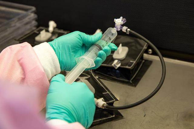 NASA image: Veg-03 J/K/L Prelaunch Prepartions for NG-13