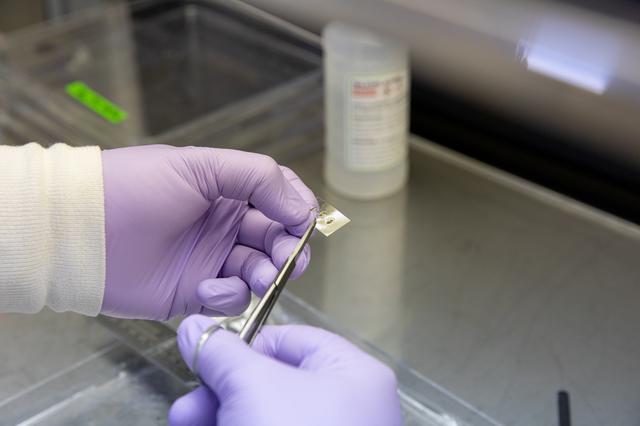 NASA image: Veg-03 J/K/L Prelaunch Prepartions for NG-13