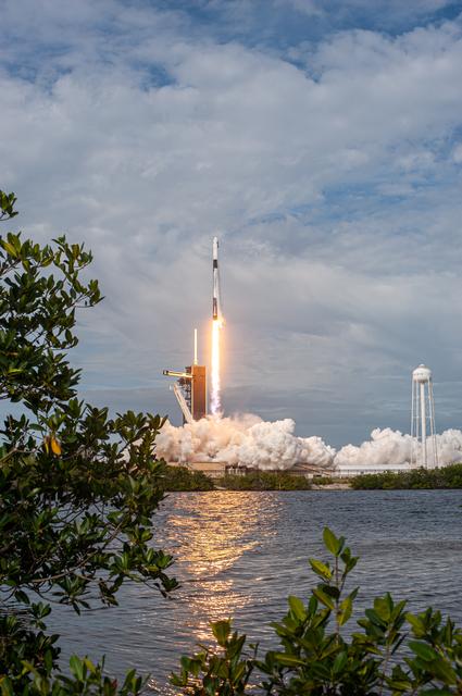 NASA image: SpaceX In-Flight Abort Test - Liftoff