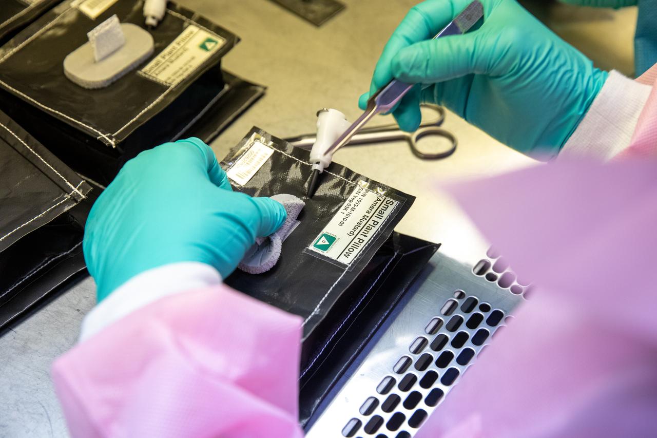 Inside the Space Station Processing Facility on Jan. 21, 2020, Emily Kennebeck, an intern at NASA’s Kennedy Space Center in Florida, prepares plant pillows for their flight to the International Space Station. The pillows, which are a common method used to grow plants in space, are being sent to the orbiting laboratory on Northrop Grumman’s 13th resupply services (NG-13) mission for a series of VEG-03 experiments that will study the growth of three types of leafy greens in a microgravity environment. Once the pillows are assembled and packaged for flight, they will be transported to the agency’s Wallops Flight Facility in Virginia, where liftoff will occur. NG-13 is scheduled to launch on Feb. 9, 2020, at 5:39 p.m. EST. 