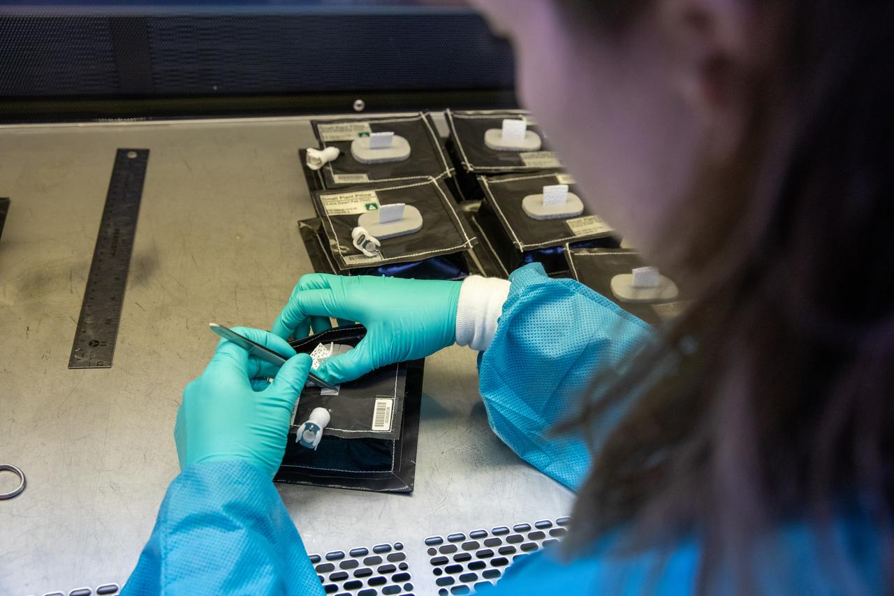 Inside the Space Station Processing Facility on Jan. 21, 2020, Jess Bunchek, a pseudonaut and associate scientist at NASA’s Kennedy Space Center in Florida, prepares plant pillows for their flight to the International Space Station. The pillows, which are a common method used to grow plants in space, are being sent to the orbiting laboratory on Northrop Grumman’s 13th resupply services (NG-13) mission for a series of VEG-03 experiments that will study the growth of three types of leafy greens in a microgravity environment. Once the pillows are assembled and packaged for flight, they will be transported to the agency’s Wallops Flight Facility in Virginia, where liftoff will occur. NG-13 is scheduled to launch on Feb. 9, 2020, at 5:39 p.m. EST. 