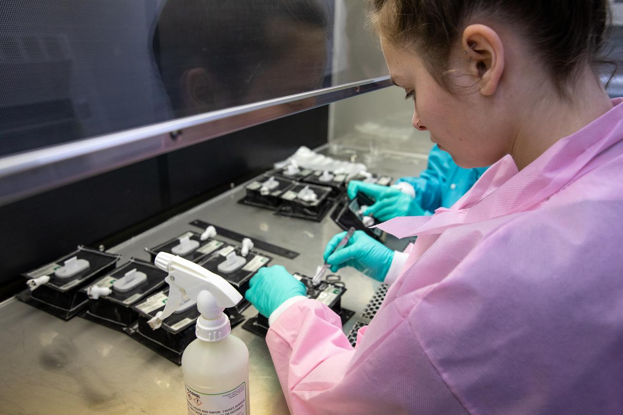 On Jan. 21, 2020, inside the Space Station Processing Facility at NASA’s Kennedy Space Center in Florida, intern Emily Kennebeck prepares plant pillows for their flight to the International Space Station. The pillows, which are a common method used to grow plants in space, are being sent to the orbiting laboratory on Northrop Grumman’s 13th resupply services (NG-13) mission for a series of VEG-03 experiments that will study the growth of three types of leafy greens in a microgravity environment. Once the pillows are assembled and packaged for flight, they will be transported to the agency’s Wallops Flight Facility in Virginia, where liftoff will occur. NG-13 is scheduled to launch on Feb. 9, 2020, at 5:39 p.m. EST. 