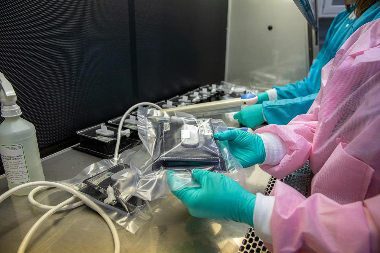 On Jan. 21, 2020, inside the Space Station Processing Facility at NASA’s Kennedy Space Center in Florida, intern Emily Kennebeck prepares plant pillows for their upcoming flight to the International Space Station. The pillows, which are a common method used to grow plants in space, are being sent to the orbiting laboratory on Northrop Grumman’s 13th resupply services (NG-13) mission for a series of VEG-03 experiments that will study the growth of three types of leafy greens in a microgravity environment. Once the pillows are assembled and packaged for flight, they will be transported to the agency’s Wallops Flight Facility in Virginia, where liftoff will occur. NG-13 is scheduled to launch on Feb. 9, 2020, at 5:39 p.m. EST. 