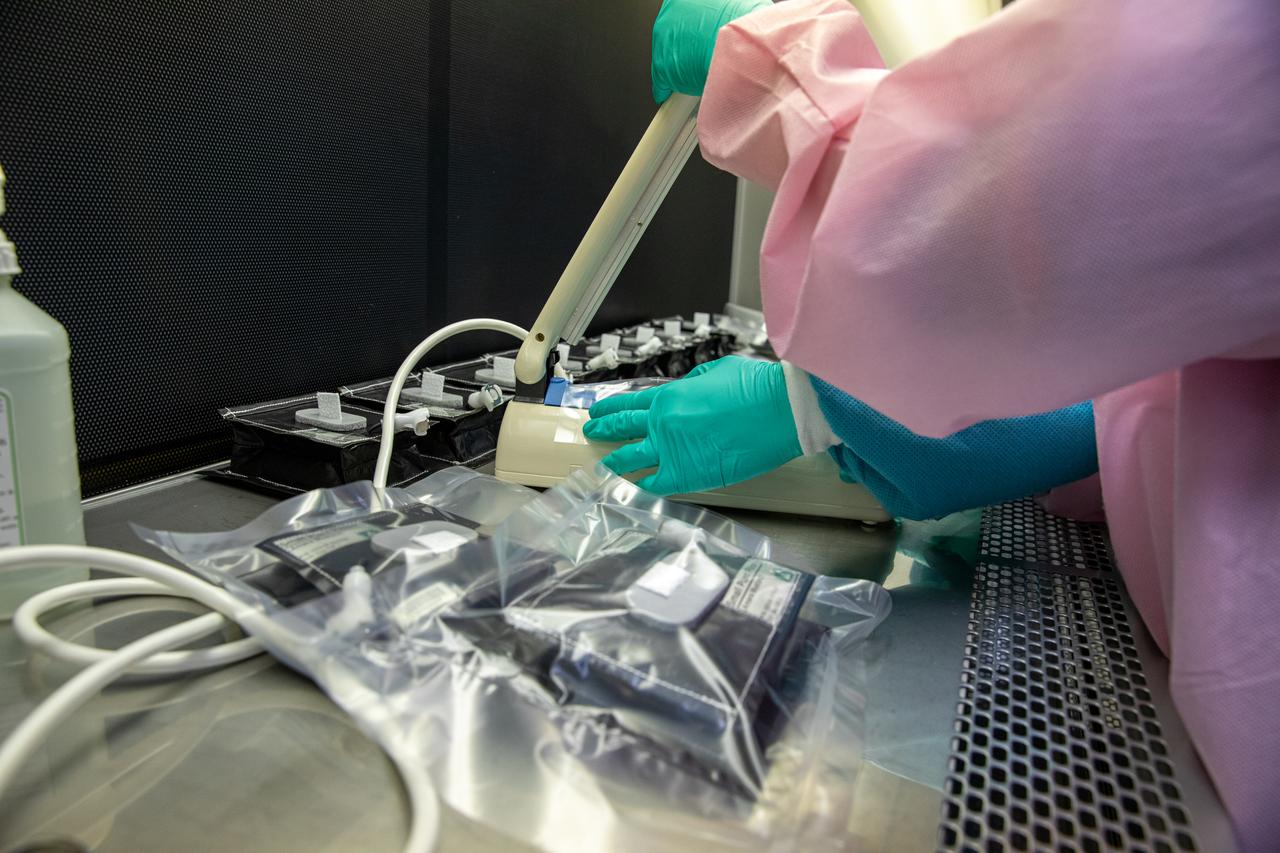 On Jan. 21, 2020, inside the Space Station Processing Facility at NASA’s Kennedy Space Center in Florida, intern Emily Kennebeck prepares plant pillows for their upcoming flight to the International Space Station. The pillows, which are a common method used to grow plants in space, are being sent to the orbiting laboratory on Northrop Grumman’s 13th resupply services (NG-13) mission for a series of VEG-03 experiments that will study the growth of three types of leafy greens in a microgravity environment. Once the pillows are assembled and packaged for flight, they will be transported to the agency’s Wallops Flight Facility in Virginia, where liftoff will occur. NG-13 is scheduled to launch on Feb. 9, 2020, at 5:39 p.m. EST. 