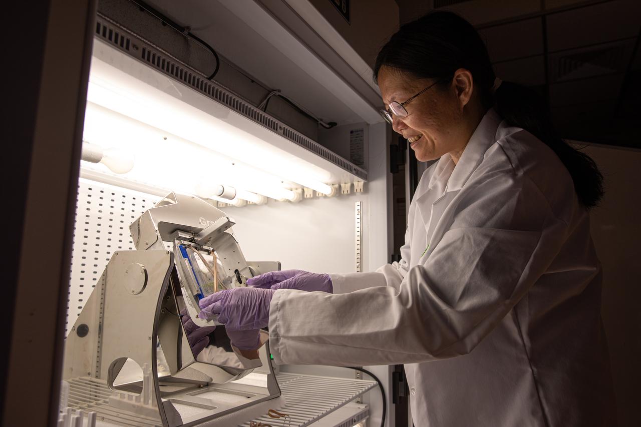 Ye Zhang, a project scientist at NASA’s Kennedy Space Center in Florida, makes adjustments to a Gravite 3d clinostat in the Microgravity Simulation Support Facility (MSSF) inside the Neil Armstrong Operations and Checkout building on Feb. 11, 2020. The facility was developed to provide ground simulation capability to the U.S. research community in order to supplement the limited opportunities to access the International Space Station and other platforms for microgravity research. The MSSF is designed to support biological research on microorganisms, cells, tissues, small plants and small animals. The simulator provides NASA with an alternative platform for microgravity research and creates the opportunity to conduct experiments on the space station in parallel with conditions of simulated microgravity on the ground.
