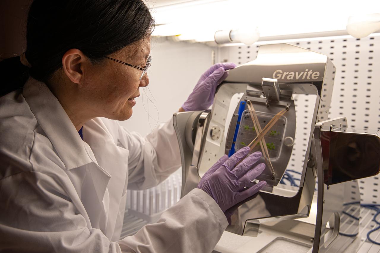 Ye Zhang, a project scientist at NASA’s Kennedy Space Center in Florida, makes adjustments to a Gravite 3d clinostat in the Microgravity Simulation Support Facility (MSSF) inside the Neil Armstrong Operations and Checkout on Feb. 11, 2020. The facility was developed to provide ground simulation capability to the U.S. research community in order to supplement the limited opportunities to access the International Space Station and other platforms for microgravity research. The MSSF is designed to support biological research on microorganisms, cells, tissues, small plants and small animals. The simulator provides NASA with an alternative platform for microgravity research and creates the opportunity to conduct experiments on the space station in parallel with conditions of simulated microgravity on the ground.
