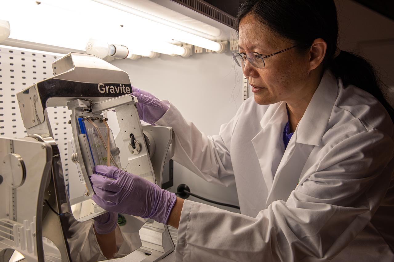 Ye Zhang, a project scientist at NASA’s Kennedy Space Center in Florida, makes adjustments to a Gravite 3d clinostat in the Microgravity Simulation Support Facility (MSSF) inside the Neil Armstrong Operations and Checkout building at on Feb. 11, 2020. The facility was developed to provide ground simulation capability to the U.S. research community in order to supplement the limited opportunities to access the International Space Station and other platforms for microgravity research. The MSSF is designed to support biological research on microorganisms, cells, tissues, small plants and small animals. The simulator provides NASA with an alternative platform for microgravity research and creates the opportunity to conduct experiments on the space station in parallel with conditions of simulated microgravity on the ground.
