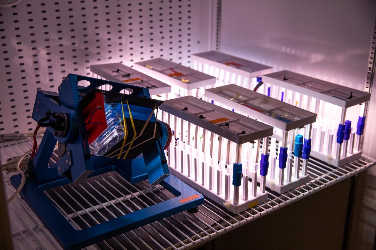 Some experiments are being prepared for a test in the Airbus Random Positioning Machine in the Microgravity Simulation Support Facility (MSSF) inside the Neil Armstrong Operations and Checkout building at NASA’s Kennedy Space Center in Florida on Feb. 11, 2020. The facility device was developed to provide ground simulation capability to the U.S. research community in order to supplement the limited opportunities to access the International Space Station and other platforms for microgravity research. The MSSF is designed to support biological research on microorganisms, cells, tissues, small plants and small animals. The simulator provides NASA with an alternative platform for microgravity research and creates the opportunity to conduct experiments on the space station in parallel with conditions of simulated microgravity on the ground.