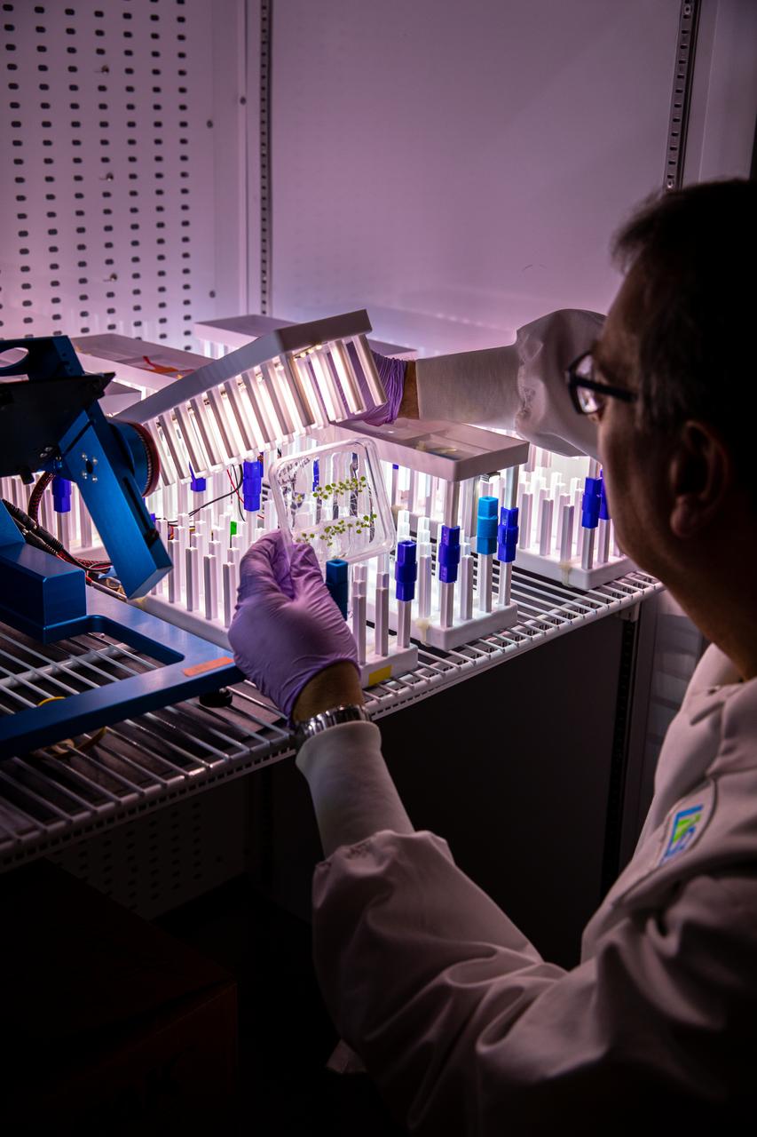 Jeffrey Richards, a payload research and science coordinator on the LASSO contract at NASA’s Kennedy Space Center in Florida, prepares an experiment for a test in an Airbus Random Positioning Machine in the Microgravity Simulation Support Facility (MSSF) inside the Neil Armstrong Operations and Checkout building at NASA’s Kennedy Space Center in Florida on Feb. 11, 2020. The facility was developed to provide ground simulation capability to the U.S. research community in order to supplement the limited opportunities to access the International Space Station and other platforms for microgravity research. The MSSF is designed to support biological research on microorganisms, cells, tissues, small plants and small animals. The simulator provides NASA with an alternative platform for microgravity research and creates the opportunity to conduct experiments on the space station in parallel with conditions of simulated microgravity on the ground.