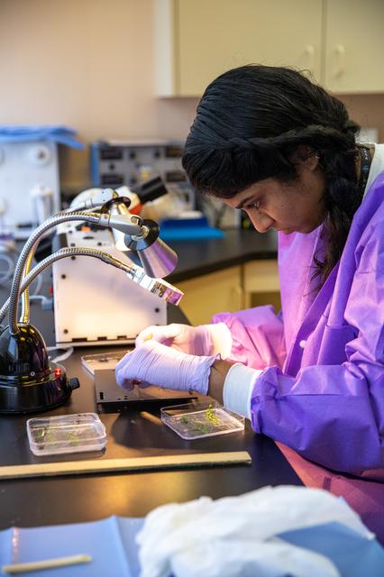 NASA image: Microgravity Simulation Support Facility