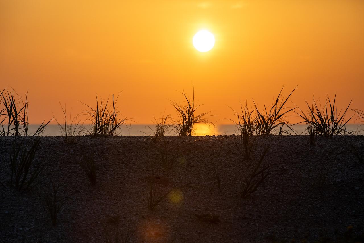 A beautiful sunrise is captured over sand dunes at the beach at NASA’s Kennedy Space Center in Florida on July 15, 2020. Teams at Kennedy are working on dune restoration efforts, which has included bringing about 450,000 cubic yards of beach-quality sand in to Kennedy’s beaches to build up dunes that have been affected by beach erosion and storm surges. Once the dunes were built up, native coastal vegetation was replanted to help stabilize the dunes and provide a habitat for wildlife at the Florida spaceport. The first phase of dune restoration efforts are now complete, and the second phase is scheduled to be completed by March 2021.