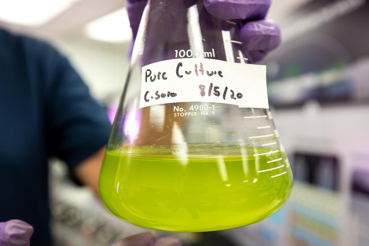 A prototype of Organic Processor Assembly (OPA) – technology capable of treating mixed organic wastes – arrives at the Neil Armstrong Operations and Checkout Building at NASA’s Kennedy Space Center in Florida on Aug. 19, 2020. At the heart of the OPA is an anaerobic membrane bioreactor – a hybrid technology that couples anaerobic digestion with membrane filtration. Developed through a collaboration between Kennedy’s Dr. Luke Roberson and the University of South Florida’s Dr. Daniel Yeh, the OPA was designed for an early planetary base scenario to help close the resource recovery loop, decreasing the agency’s dependence on resupply missions.