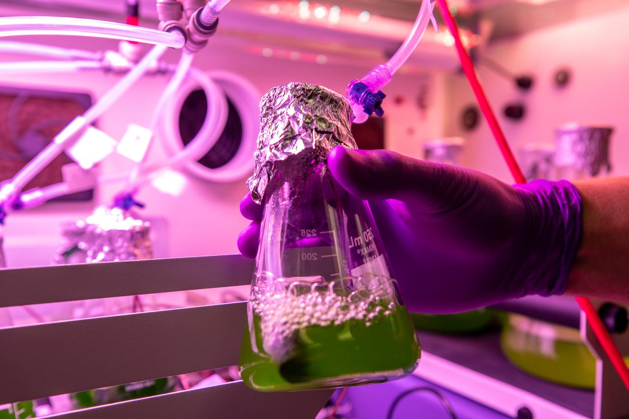 A prototype of Organic Processor Assembly (OPA) – technology capable of treating mixed organic wastes – arrives at the Neil Armstrong Operations and Checkout Building at NASA’s Kennedy Space Center in Florida on Aug. 19, 2020. At the heart of the OPA is an anaerobic membrane bioreactor – a hybrid technology that couples anaerobic digestion with membrane filtration. Developed through a collaboration between Kennedy’s Dr. Luke Roberson and the University of South Florida’s Dr. Daniel Yeh, the OPA was designed for an early planetary base scenario to help close the resource recovery loop, decreasing the agency’s dependence on resupply missions.