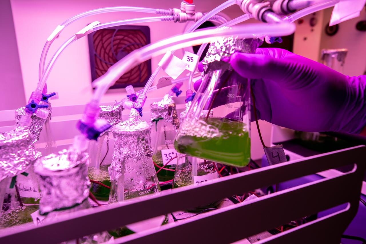 A prototype of Organic Processor Assembly (OPA) – technology capable of treating mixed organic wastes – arrives at the Neil Armstrong Operations and Checkout Building at NASA’s Kennedy Space Center in Florida on Aug. 19, 2020. At the heart of the OPA is an anaerobic membrane bioreactor – a hybrid technology that couples anaerobic digestion with membrane filtration. Developed through a collaboration between Kennedy’s Dr. Luke Roberson and the University of South Florida’s Dr. Daniel Yeh, the OPA was designed for an early planetary base scenario to help close the resource recovery loop, decreasing the agency’s dependence on resupply missions.