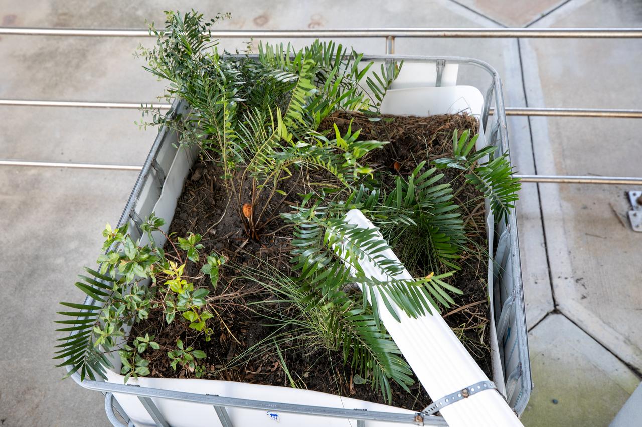 NASA Kennedy Space Center’s unrivaled dedication to the environment is highlighted through a variety of environmental programs and projects. Through a partnership with Jacobs Technology, Inc., teams have constructed a bio-filter – made of layered rock, soil, and native plants – as an eco-friendly way to filter zinc out of rainwater runoff. Photographed on Sept. 29, 2020, at the Florida spaceport’s Launch Complex 39 observation tower, the bio-filter catches water that runs off of this location’s galvanized roof, which contains a coating of zinc to help protect the metal from rust or corrosion. The plants in the bio-filter bind to the zinc so that when the water comes out of the bottom, it’s clean and safe to go into the Indian River Lagoon – its waterline located about 20 to 30 feet away.