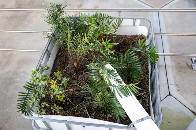 NASA image: Rainwater Biofilter