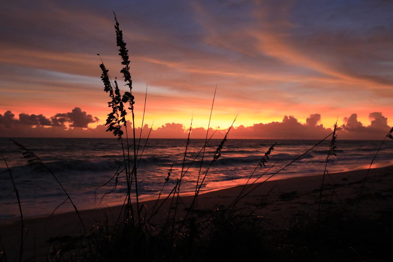 NASA’s Kennedy Space Center occupies a scenic stretch of land along Florida’s east coast, including miles of pristine beaches on the Atlantic Ocean. The agency is nearing completion on a restoration project to shore up the dunes that create a natural barrier from the waves. Once the dune is built up, native coastal vegetation will be replanted, helping to stabilize the dune and offer a habitat for Kennedy’s coastal wildlife.
