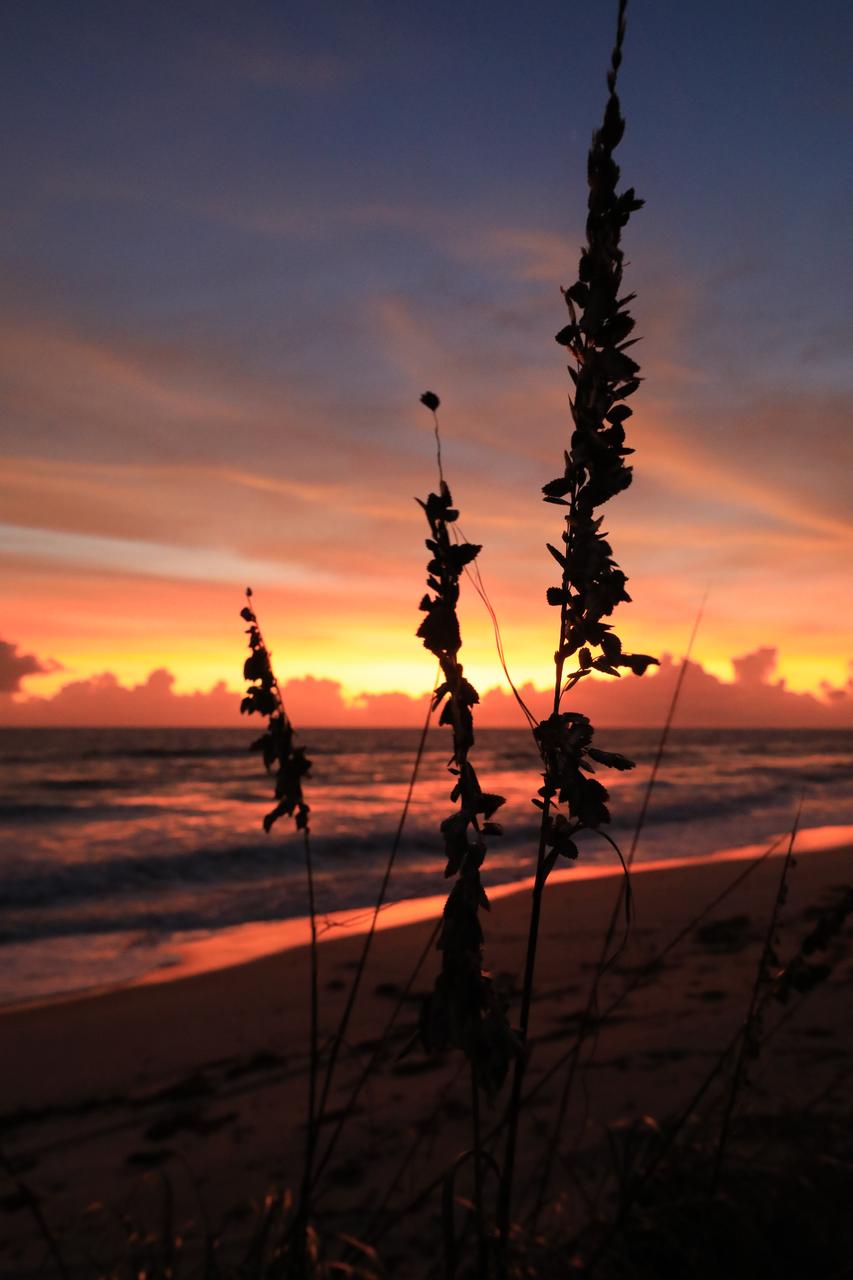 NASA’s Kennedy Space Center occupies a scenic stretch of land along Florida’s east coast, including miles of pristine beaches on the Atlantic Ocean. The agency is nearing completion on a restoration project to shore up the dunes that create a natural barrier from the waves. Once the dune is built up, native coastal vegetation will be replanted, helping to stabilize the dune and offer a habitat for Kennedy’s coastal wildlife.