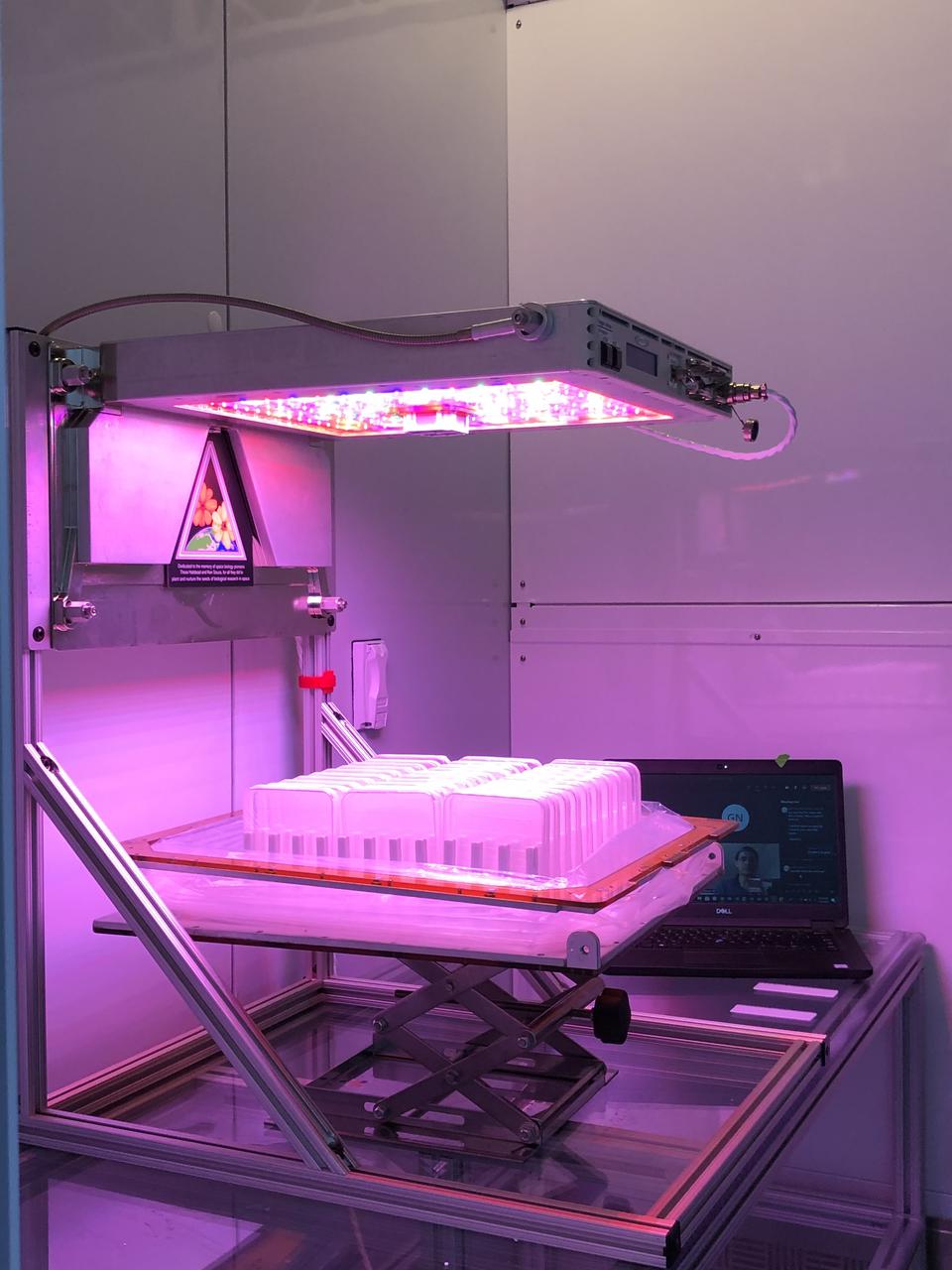 The Science Verification Test for NASA’s Advanced Plant Experiment-08 (APEX-08) testing Arabidopsis thaliana, a plant scientists routinely use for research, takes place inside the Veggie growth chamber at NASA’s Kennedy Space Center in Florida on Nov. 6, 2020. The test is part of the process for demonstrating readiness for space research ahead of its flight on SpaceX’s 23rd Commercial Resupply Services mission to the International Space Station. The APEX-08 study includes making genetic alterations that elicit a response in a group of organic compounds that modulate plant responses to environmental stress.