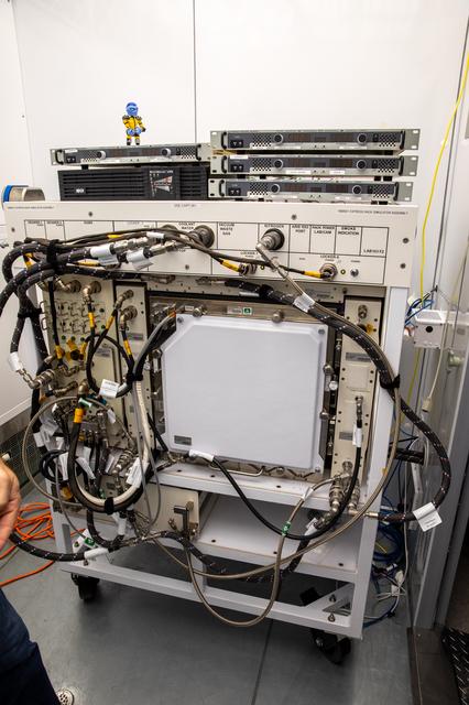 NASA image: PH-02: Radish Ground Harvest