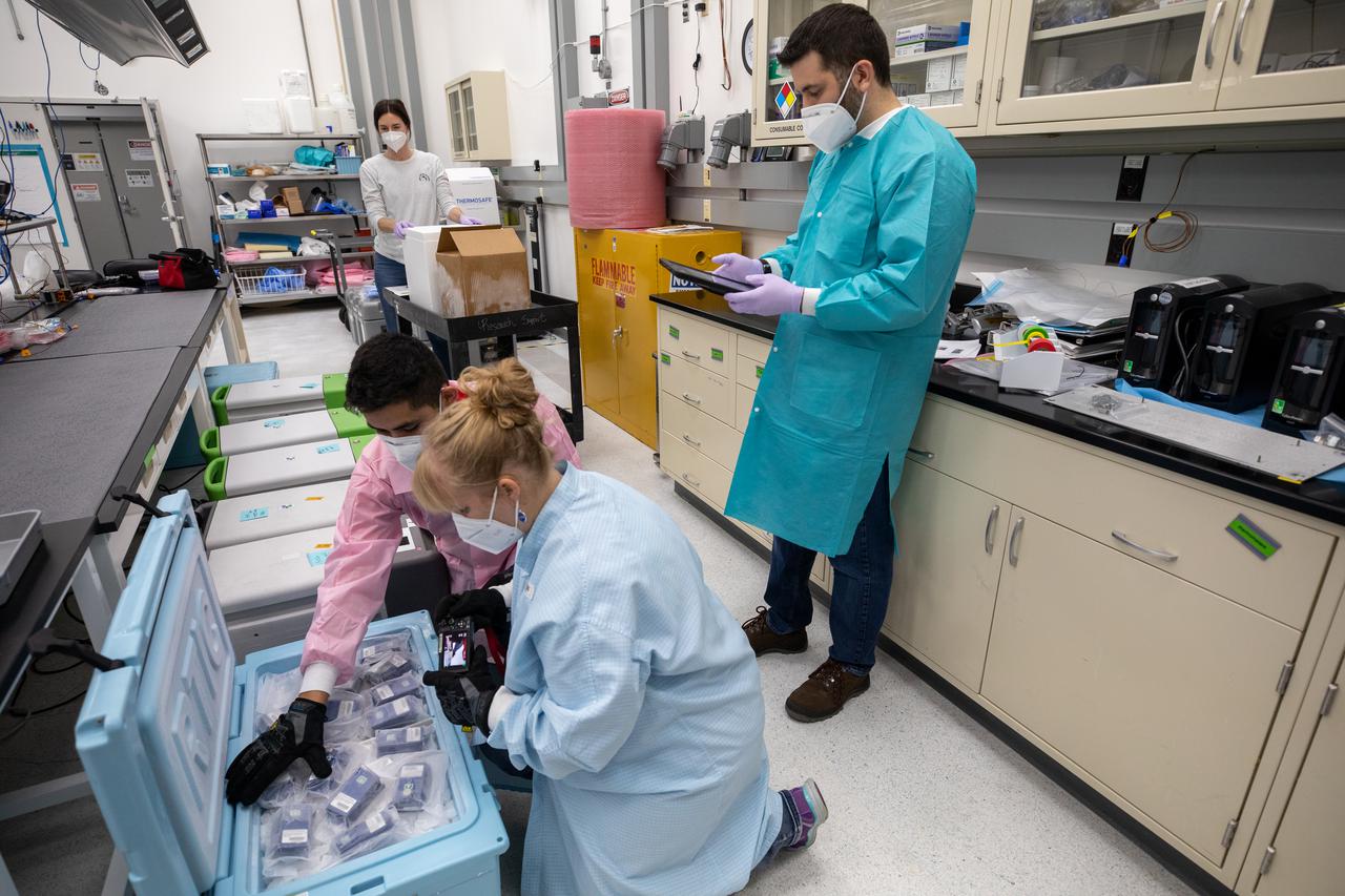 Members of the cold stowage team unpack science experiments inside the Space Station Processing Facility at NASA’s Kennedy Space Center in Florida on Jan. 14, 2021. The experiments returned to Earth on SpaceX’s 21st commercial resupply services mission (CRS-21). Making its successful parachute-assisted splashdown west of Tampa off the Florida coast, at 8:26 p.m. EST on Jan. 13, the SpaceX cargo Dragon returned more than 4,400 pounds of scientific experiments and other cargo from the International Space Station. After splashdown, SpaceX loaded Dragon aboard their Go Navigator recovery ship and packed an Airbus H225 helicopter with the time-sensitive research cargo for delivery to Kennedy. The upgraded cargo Dragon capsule also boasts double the powered locker capacity to preserve science samples, allowing for a significant increase in the research that can be carried back to Earth.