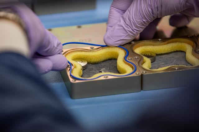 NASA image: MISSE Seed Experiment Work 