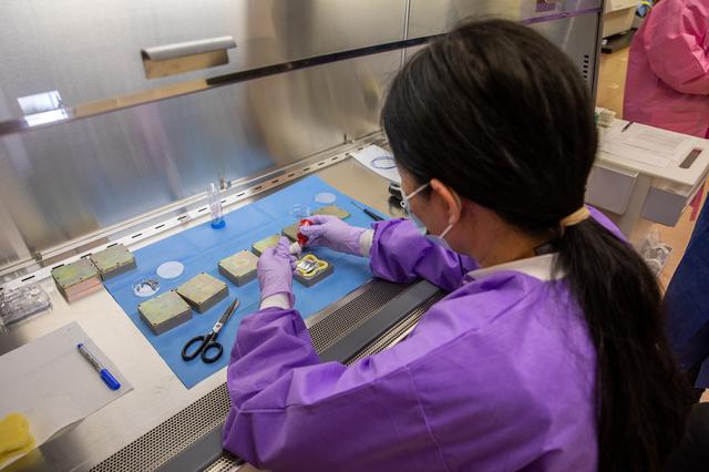 NASA image: MISSE Seed Experiment Work 