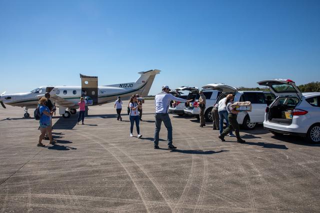 NASA image: Rescued Sea Turtles Arrive at LLF