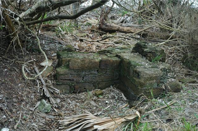 Archeological ruins of Elliot Plantation are revealed through the oak hammock on NASA’s Kennedy Space Center in Florida in 2008. Pictured is a structure composed of coquina blocks from a hearth of a large dwelling, determined to be that of the plantation overseer. The use of coquina is consistent with high-status building materials of the period. The ruins of Elliot Plantation date from the 1760s and represent the largest, earliest, and southernmost British period sugar plantation in the U.S., as well as one of the most intact and best examples of a completely preserved enslaved landscape. In interagency cooperation between the National Park Service, the U.S. Fish and Wildlife Service, and NASA, and with the assistance of volunteers from the Indian River Anthropological Society, and historic preservation offices of Brevard and Volusia counties, approximately 200 shovel tests and 20 excavation units were completed in three areas of the plantation complex from 2008 to 2009.