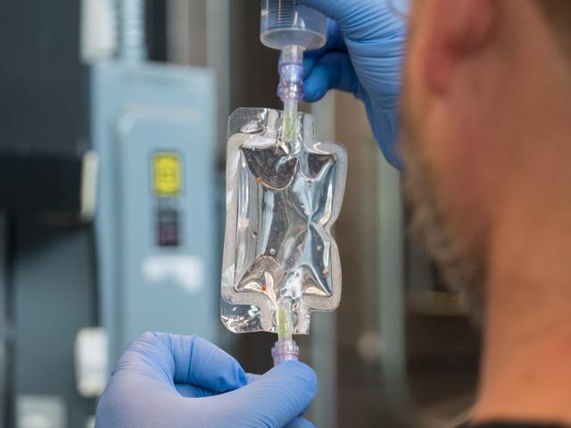 NASA image: SpaceX CRS-22 Squid Experiment