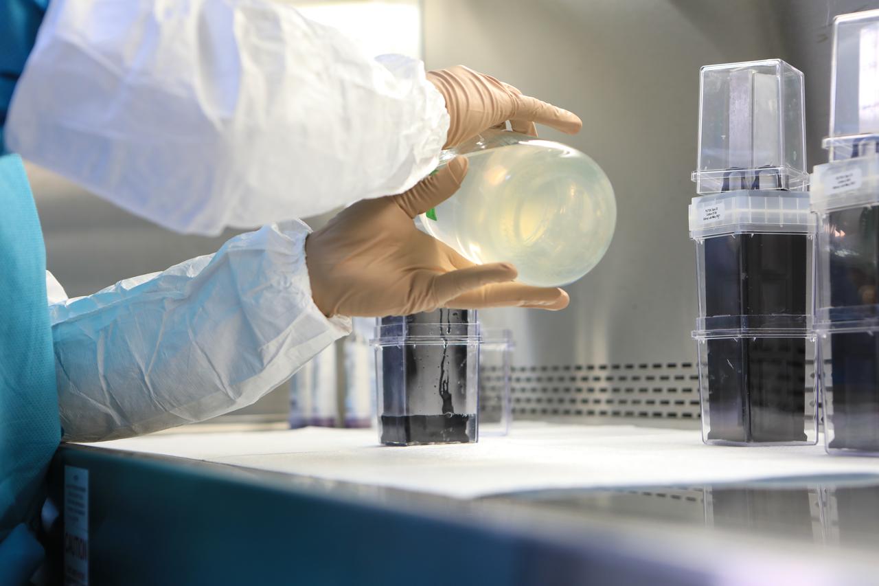 Dr. Arko Bakshi, a research associate with the Department of Botany at the University of Wisconsin, Madison, adds nutrient gel to Target Veggie Chambers, or TVCs, inside a laboratory in the Space Station Processing Facility at Kennedy Space Center in Florida on May 28, 2021. Bakshi waited until the gel solidified and then planted cotton seeds in it as part of the Targeting Improved Cotton Through Orbital Cultivation (TICTOC) experiment, which will launch to the International Space Station aboard SpaceX’s 22nd commercial resupply services mission. TICTOC will investigate how environmental factors and genes control development of roots in the absence of gravity. Liftoff of the SpaceX Falcon 9 rocket and Dragon capsule is scheduled for 1:29 p.m. EDT Thursday, June 3, 2021, from Launch Complex 39A at Kennedy Space Center. 
