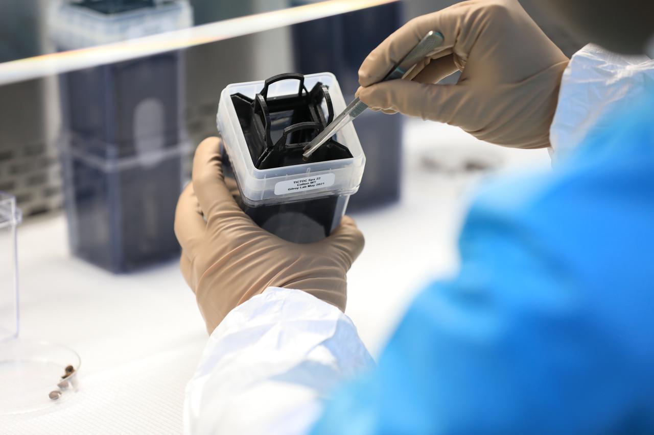 Dr. Arko Bakshi, a research associate with the Department of Botany at the University of Wisconsin, Madison, adds nutrient gel to Target Veggie Chambers, or TVCs, inside a laboratory in the Space Station Processing Facility at Kennedy Space Center in Florida on May 28, 2021. Bakshi waited until the gel solidified and then planted cotton seeds in it as part of the Targeting Improved Cotton Through Orbital Cultivation (TICTOC) experiment, which will launch to the International Space Station aboard SpaceX’s 22nd commercial resupply services mission. TICTOC will investigate how environmental factors and genes control development of roots in the absence of gravity. Liftoff of the SpaceX Falcon 9 rocket and Dragon capsule is scheduled for 1:29 p.m. EDT Thursday, June 3, 2021, from Launch Complex 39A at Kennedy Space Center. 