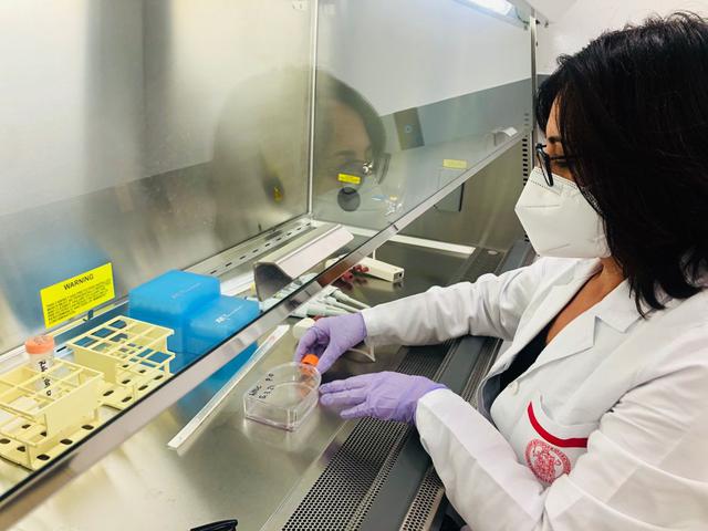 Dr. Valeria Lucci, with the department of biology at the University of Naples Federico II in Italy, prepares the Reducing Arthritis Dependent Inflammation First Phase (READI FP) experiment inside the Space Station Processing Facility at NASA’s Kennedy Space Center in Florida. READI FP, which evaluates how microgravity and space radiation affect the generation of bone tissue, will fly aboard SpaceX’s Cargo Dragon spacecraft on the company’s 23rd commercial resupply services mission to the International Space Station. Liftoff is targeted for Saturday, Aug. 28, at 3:37 a.m. EDT, from Kennedy’s Launch Complex 39A.