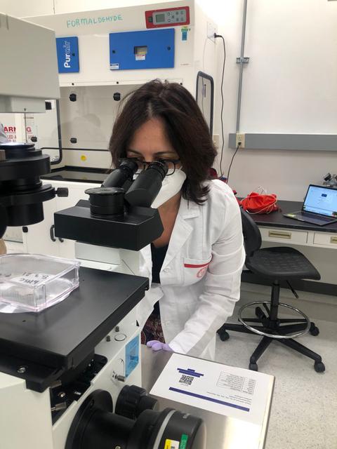 Dr. Valeria Lucci, with the department of biology at the University of Naples Federico II in Italy, prepares the Reducing Arthritis Dependent Inflammation First Phase (READI FP) experiment inside the Space Station Processing Facility at NASA’s Kennedy Space Center in Florida. READI FP, which evaluates how microgravity and space radiation affect the generation of bone tissue, will fly aboard SpaceX’s Cargo Dragon spacecraft on the company’s 23rd commercial resupply services mission to the International Space Station. Liftoff is targeted for Saturday, Aug. 28, at 3:37 a.m. EDT, from Kennedy’s Launch Complex 39A.
