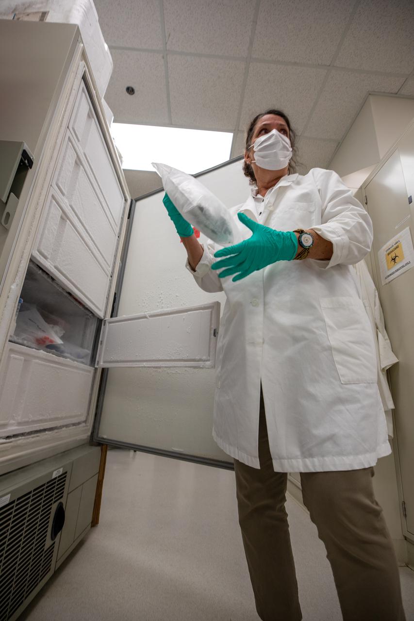 Inside the Microbiology Lab at NASA’s Kennedy Space Center in Florida on Oct. 6, 2021, Microbiology Lead Mary Hummerick works with frozen lettuce samples that recently returned from the International Space Station as part of NASA’s SpaceX 23rd commercial resupply services mission. The experiment, titled VEG-03J, involved “Outredgeous” red romaine lettuce grown in the Veggie Production System (Veggie) on the space station and demonstrated a new way of storing, handling, and planting seeds in space. NASA is studying how to effectively grow crops in space so plants can provide supplemental nutrients to astronaut crews on long-duration missions, such as a mission to Mars.