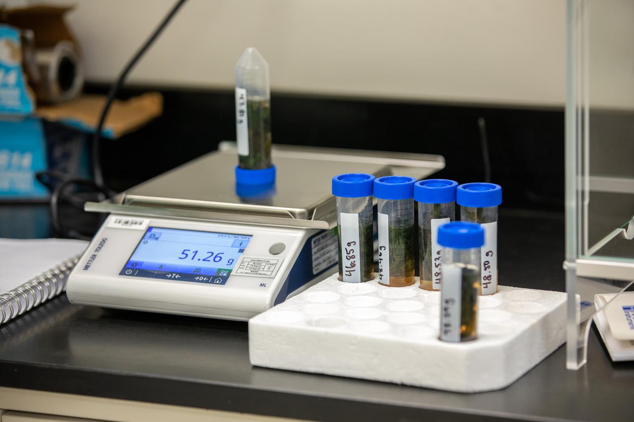 Inside the Microbiology Lab at NASA’s Kennedy Space Center in Florida on Oct. 6, 2021, microbiologists work with frozen lettuce samples that recently returned from the International Space Station as part of NASA’s SpaceX 23rd commercial resupply services mission. The experiment, titled VEG-03J, involved “Outredgeous” red romaine lettuce grown in the Veggie Production System (Veggie) on the space station and demonstrated a new way of storing, handling, and planting seeds in space. NASA is studying how to effectively grow crops in space so plants can provide supplemental nutrients to astronaut crews on long-duration missions, such as a mission to Mars.