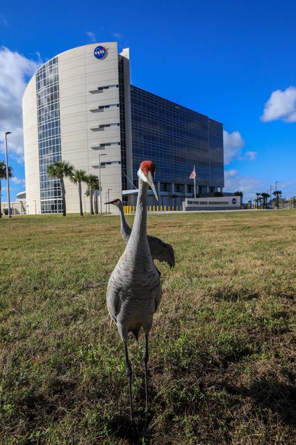 KSC Headquarters Demolition