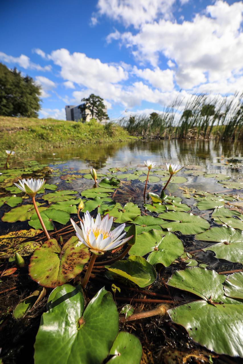 Budding flowers adorn the forefront of the Central Campus Headquarters (CCHQ) Building at NASA’s Kennedy Space Center in Florida on Jan. 11, 2022. The CCHQ is a modernized, energy efficient facility representative of Kennedy’s transformation to America’s premier multi-user spaceport. It opened in May 2019. Built in 1965, the former headquarters building was recently demolished. The area previously occupied by the 439,000 square-foot-facility will be utilized as greenspace.