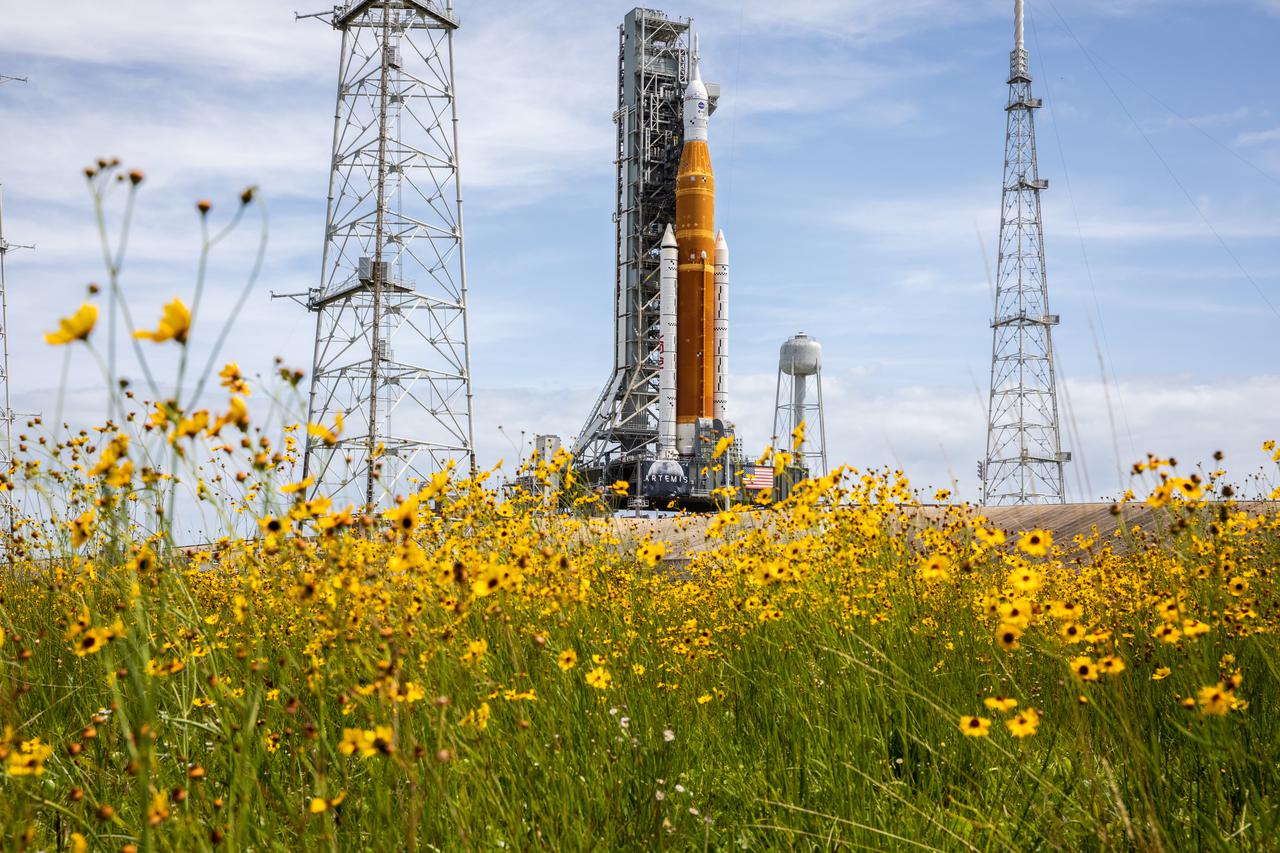 Wildflowers frame a view of the Artemis I Space Launch System (SLS) and Orion spacecraft on Launch Pad 39B at NASA’s Kennedy Space Center in Florida on April 21, 2022. Also in view are two of the three lightning protection towers and the water tower. The SLS and Orion atop the mobile launcher were transported to the pad on crawler-transporter 2 for a prelaunch test called a wet dress rehearsal. Artemis I will be the first integrated test of the SLS and Orion spacecraft. In future Artemis missions, NASA will land the first woman and the first person of color on the surface of the Moon, paving the way for a long-term lunar presence and serving as a steppingstone on the way to Mars.