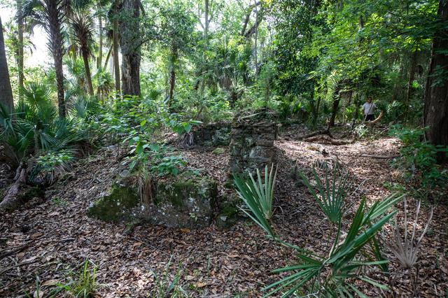 Elliot Plantation Site