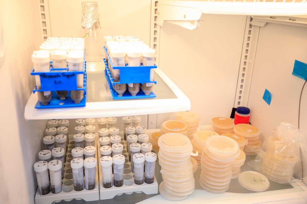 Seen here are science tubes containing soil and soil microbes for the Dynamics of Microbiomes in Space (DynaMoS) experiment after they’ve been prepared for flight to the International Space Station inside the Space Station Processing Facility at NASA’s Kennedy Space Center in Florida on July 11, 2022. The DynaMoS experiment will launch on SpaceX’s 25th cargo resupply services mission to examine how microgravity affects metabolic interactions in communities of soil microbes. This will help NASA understand the function of soil microorganisms in space versus on Earth and how they can be used to enhance plant growth for crew consumption during long-duration missions to the Moon and Mars. SpaceX’s Falcon 9 rocket and Dragon spacecraft are scheduled to lift off from Kennedy’s Launch Complex 39A at 8:44 p.m. EDT on Thursday, July 14.